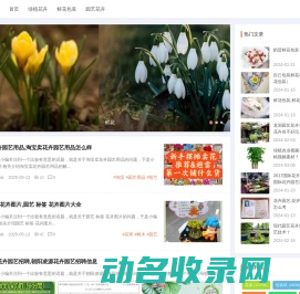 卉茵鲜花